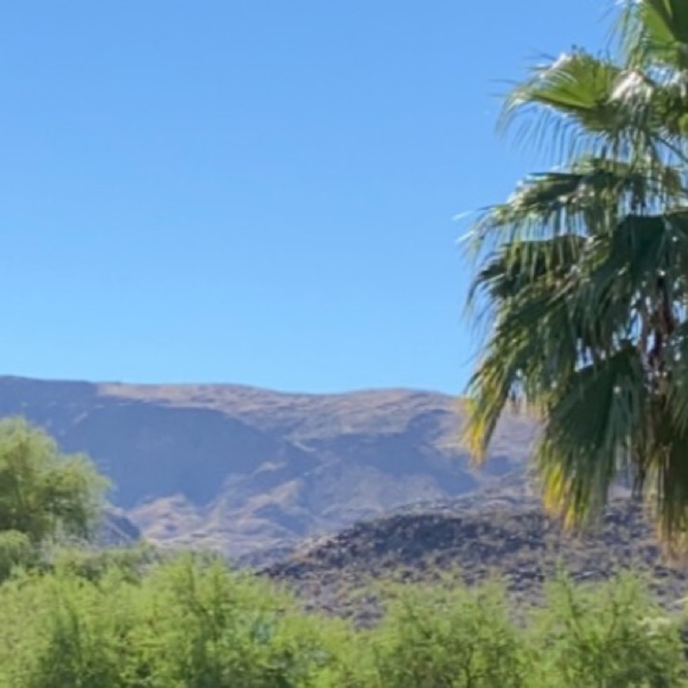 Meet your Posher, Maddie